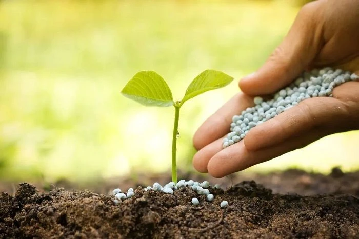 Nitrogen Fertilizer Testing factory